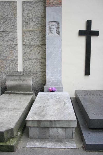 Zdjęcie grobu Elżbieta Barszczewska-Wyrzykowska (4)