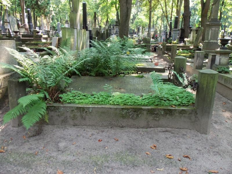 Zdjęcie grobu: Józefina Horodyńska