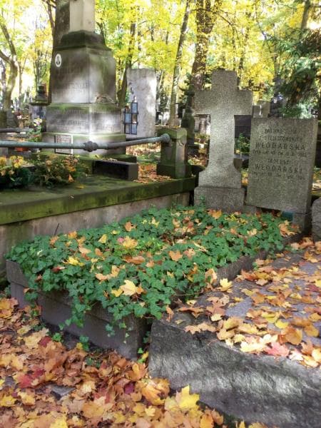 Zdjęcie grobu Ewelina Julia Włodarska (1)