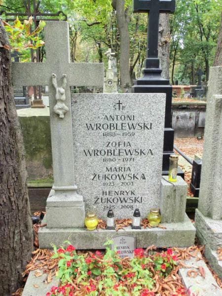 Zdjęcie grobu Antoni Wróblewski (2)
