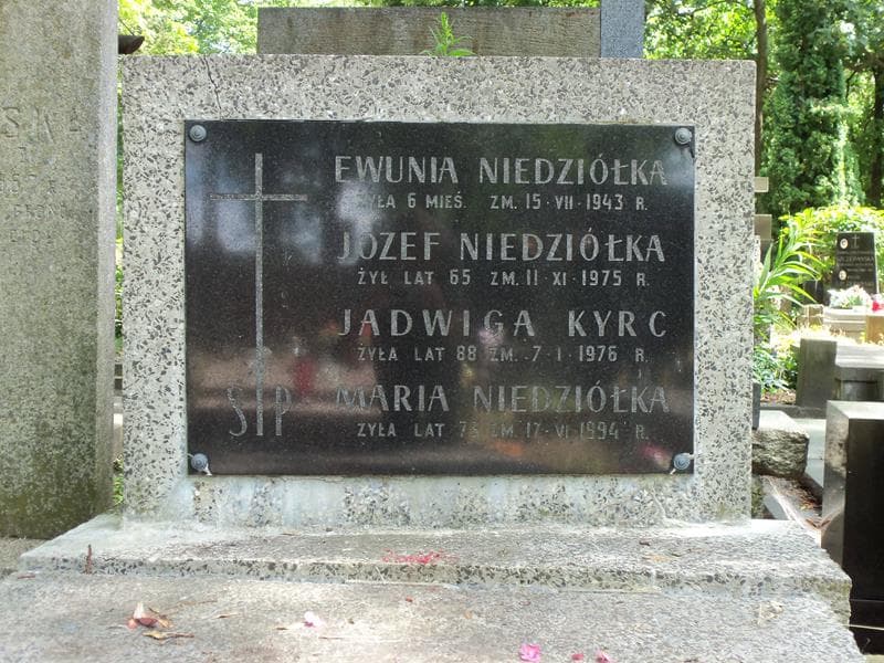 Zdjęcie grobu Ewunia Niedziółka (2)