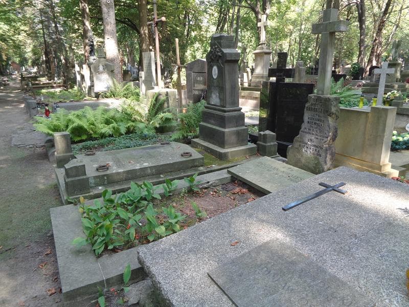 Zdjęcie grobu: Stanisława Niemyska