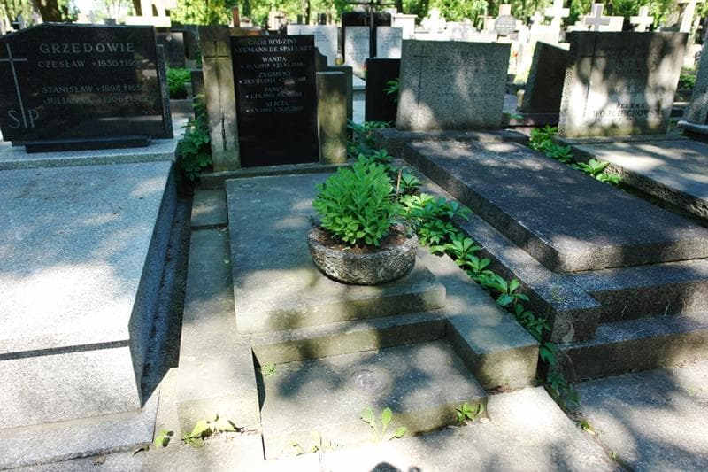 Zdjęcie grobu Alicja Neumann De Spallart (1)