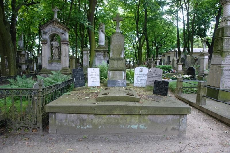 Zdjęcie grobu Jan Habdank-Stpiczyński (1)