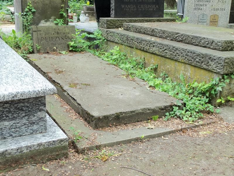 Zdjęcie grobu Zofia Deleżyńska (1)