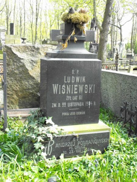 Zdjęcie grobu Andrzej Pomianowski (1)