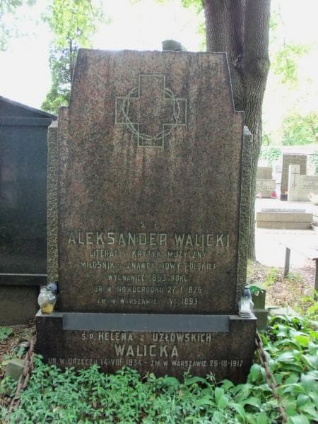 Zdjęcie grobu Helena Walicka (2)