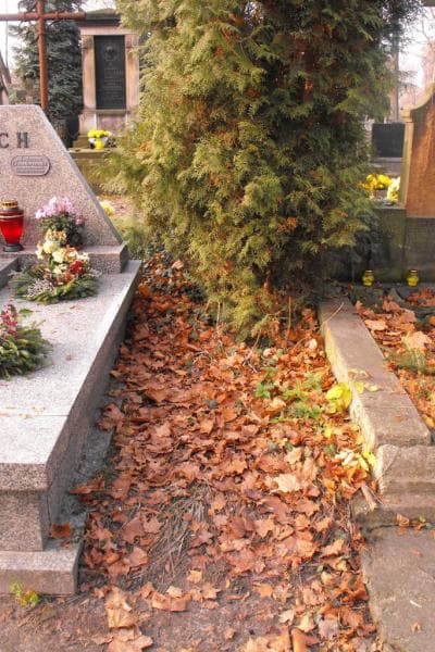 Zdjęcie grobu: Pole Grobowe
