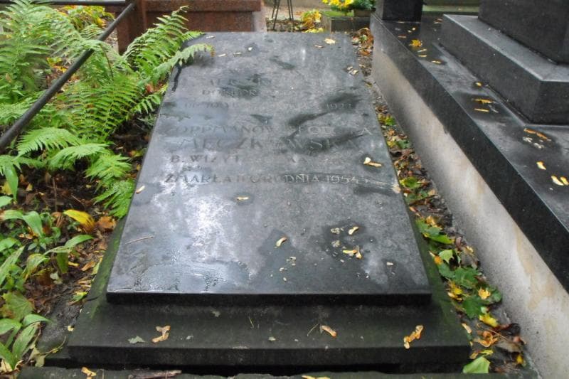 Zdjęcie grobu Wcław Męczkowski (1)