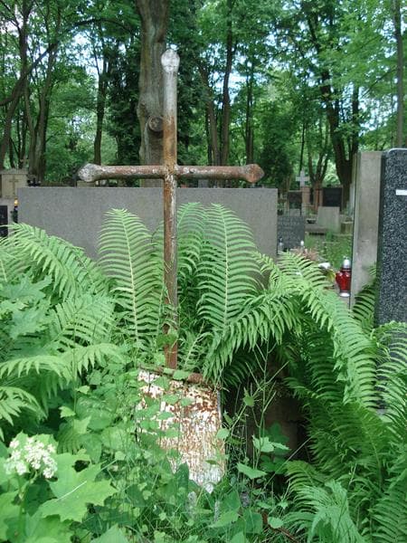 Zdjęcie grobu Julianna Baranowska (2)
