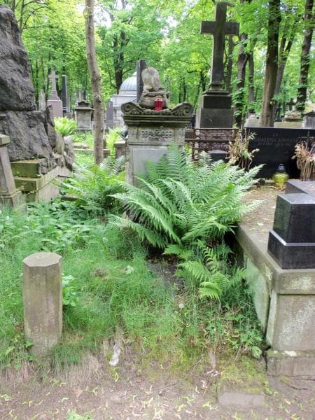 Zdjęcie grobu: Jan Luboszczyński
