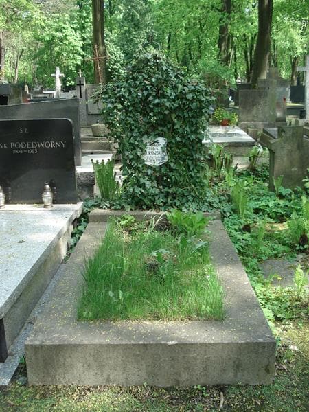Zdjęcie grobu: Zofia Żurowska