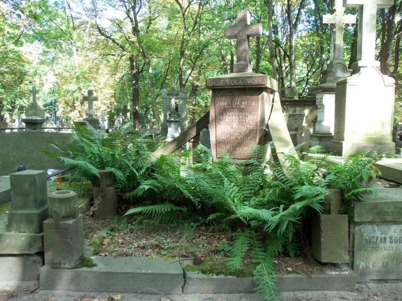 Zdjęcie grobu: Tekla Wolska