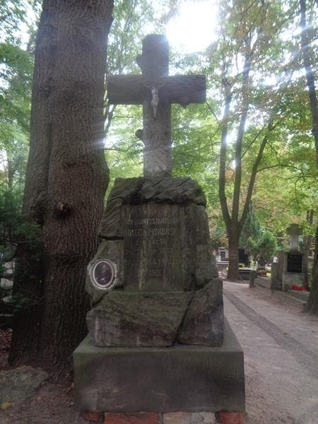 Zdjęcie grobu Konstanty Stanisław Dołęga-Piskorski (2)
