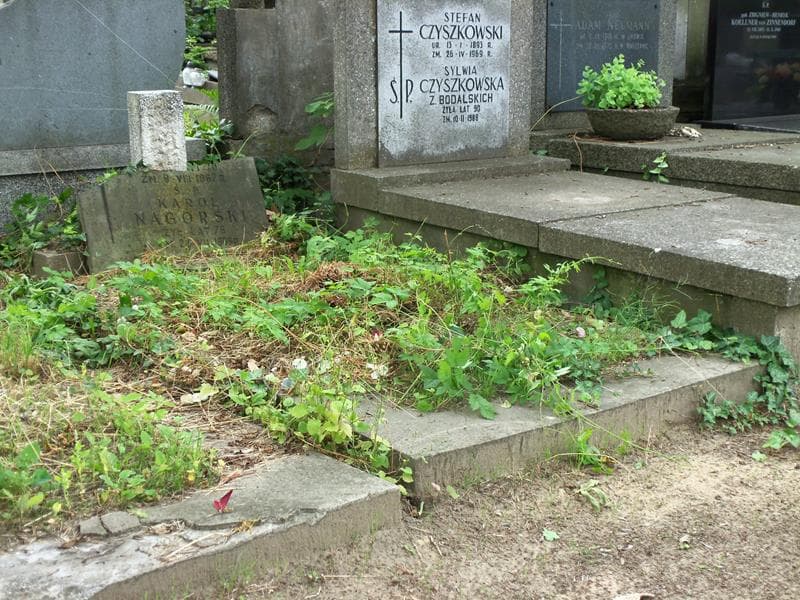 Zdjęcie grobu Karol Nagórski (1)