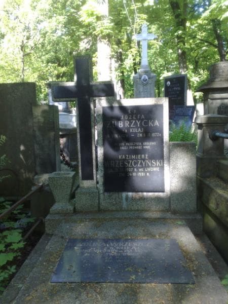 Zdjęcie grobu Karolina Wrzeszczyńska (1)