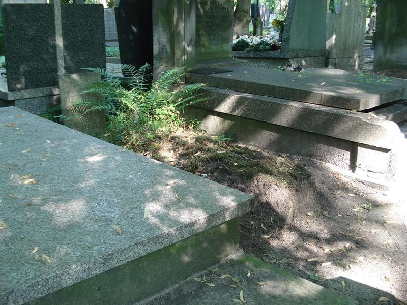 Zdjęcie grobu Jadwiga Plewińska (1)