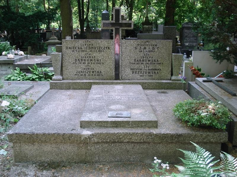 Zdjęcie grobu Tadeusz Dąbrowski (1)
