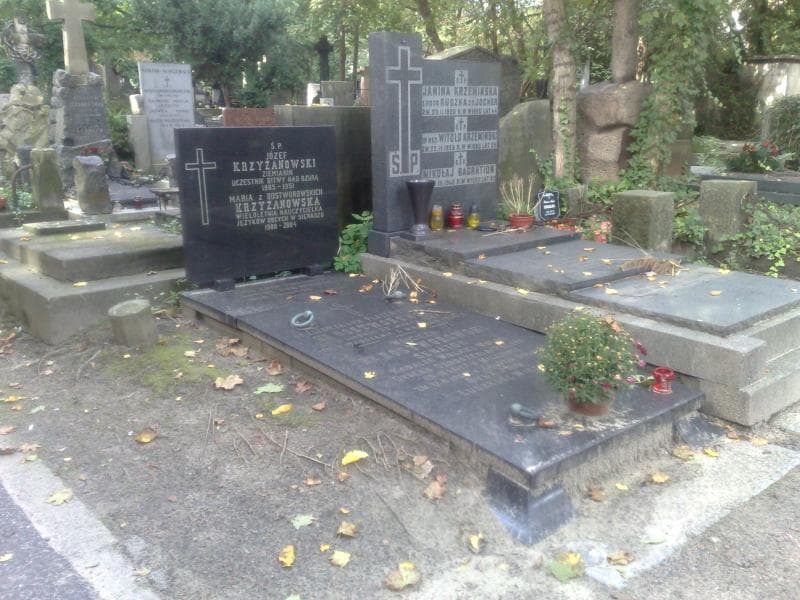 Zdjęcie grobu Józef Krzyżanowski (1)