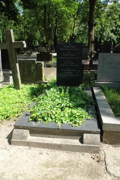 Zdjęcie grobu Wacław Hopfer (1)