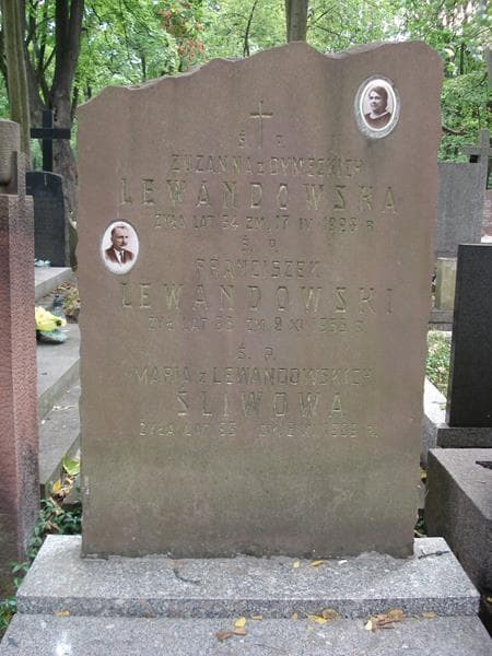 Zdjęcie grobu Franciszek Lewandowski (2)