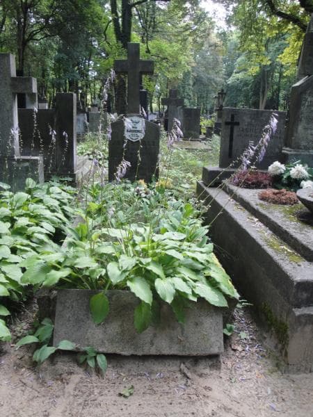 Zdjęcie grobu: Jerzy Błaszkiewicz