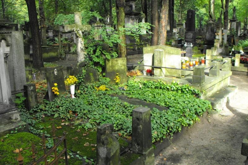 Zdjęcie grobu Witold Andruszkiewicz (1)