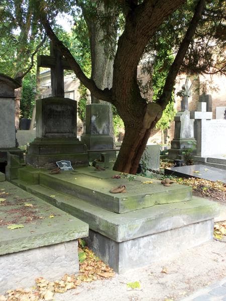 Zdjęcie grobu Jerzy Józef Ignacy Stokowski (1)