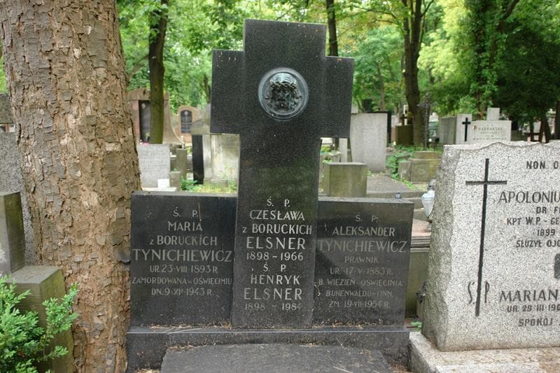 Zdjęcie grobu Aleksander Tynichiewicz (2)