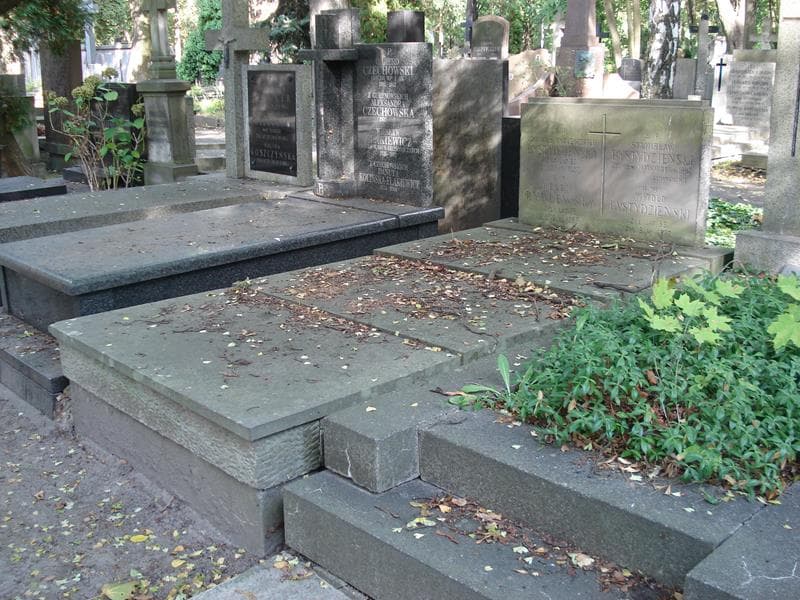 Zdjęcie grobu: Janina Bystydzieńska