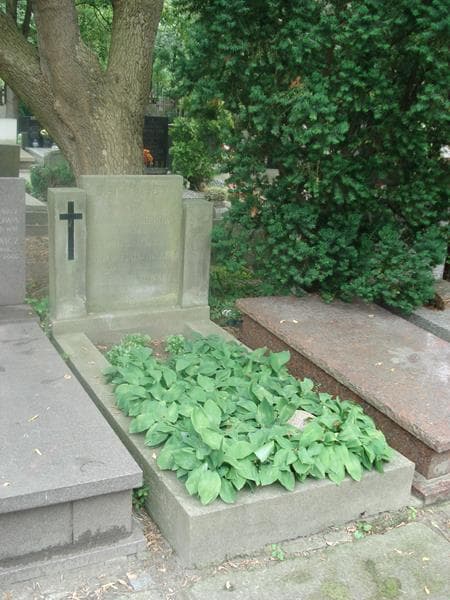Zdjęcie grobu Janusz Bąkowski (1)