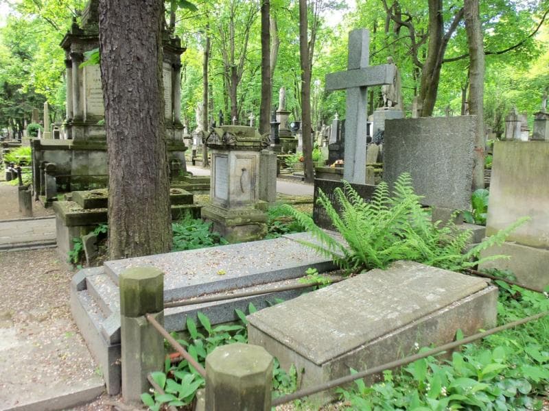 Zdjęcie grobu Michalina Makowiecka (1)