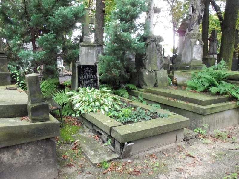 Zdjęcie grobu Roman Kulesza (1)