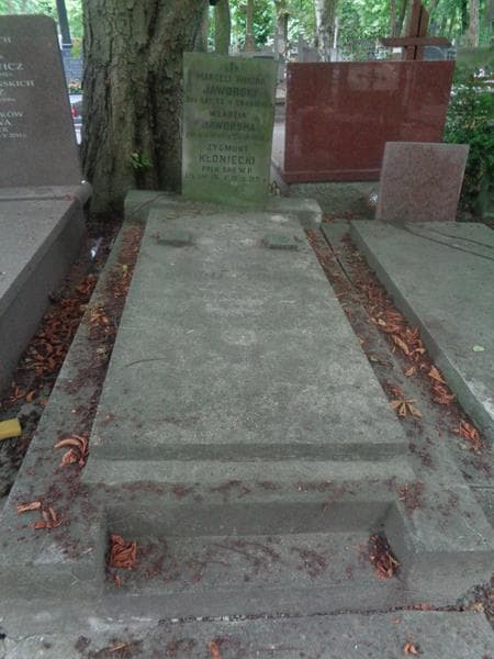 Zdjęcie grobu Władzia Jaworska (1)