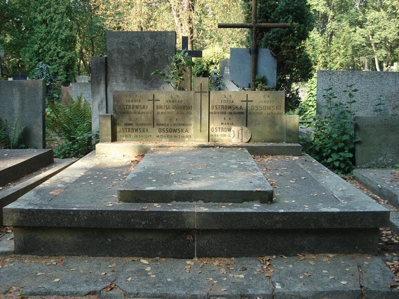 Zdjęcie grobu: Edmund Dołęga-Ossowski