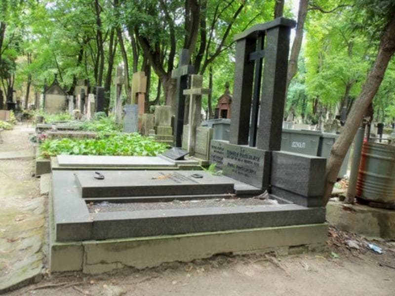 Zdjęcie grobu Zofia Forkasiewicz (1)