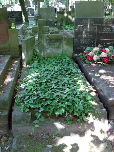 Zdjęcie grobu: Rozalia Ogrodowczyk
