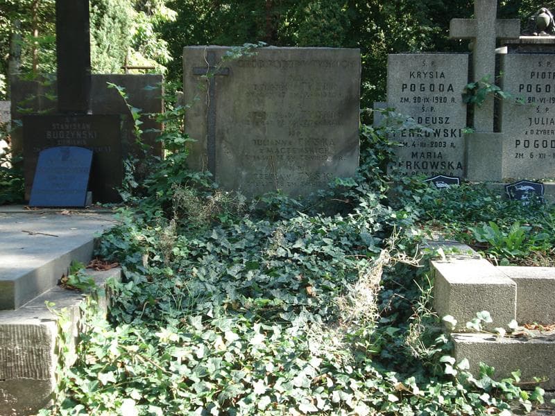 Zdjęcie grobu: Stanisław Tyski