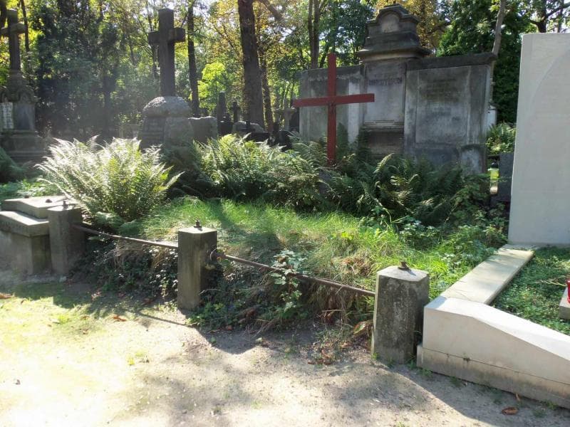 Zdjęcie grobu Drzewieccy (1)