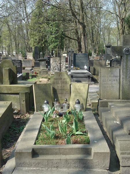 Zdjęcie grobu: Witold Kuźmicz