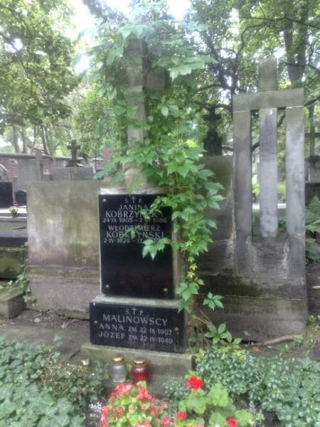 Zdjęcie grobu Anna Malinowska (1)