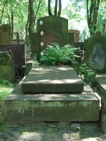 Zdjęcie grobu: Irena Urzykowska