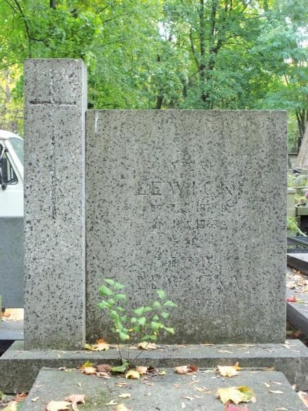 Zdjęcie grobu Marcelina Lewicka (2)