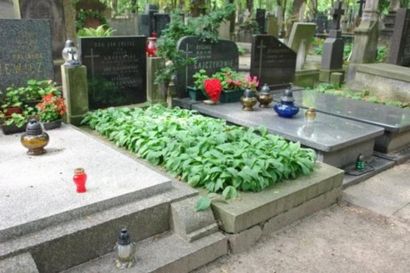 Zdjęcie grobu Stefania Grabowska (1)