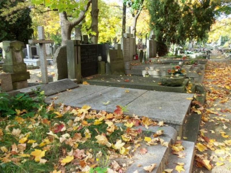 Zdjęcie grobu Kazimierz Hajnosz (1)