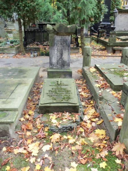 Zdjęcie grobu Stanisław Marek Jaworski (2)