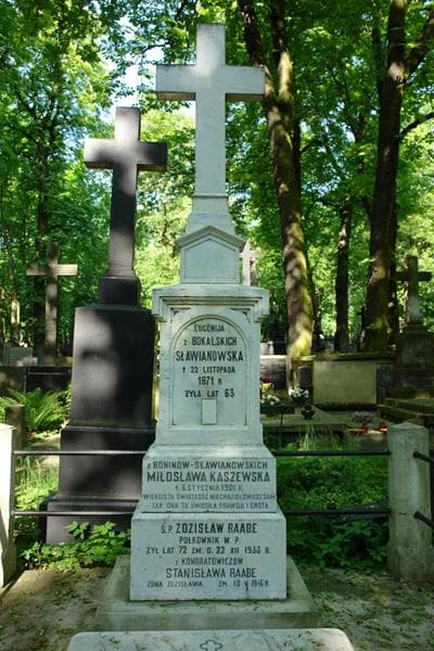 Zdjęcie grobu Eugenia Sławianowska (2)