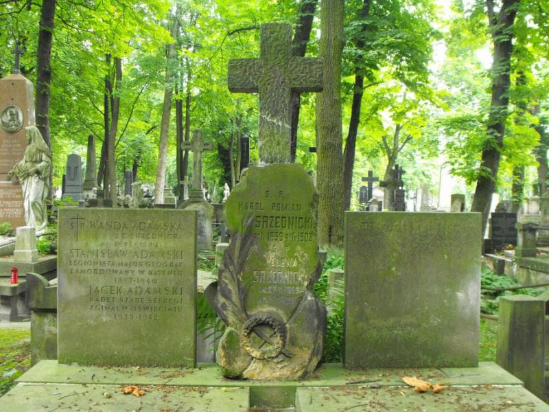 Zdjęcie grobu Karol Pomian Srzednicki (2)