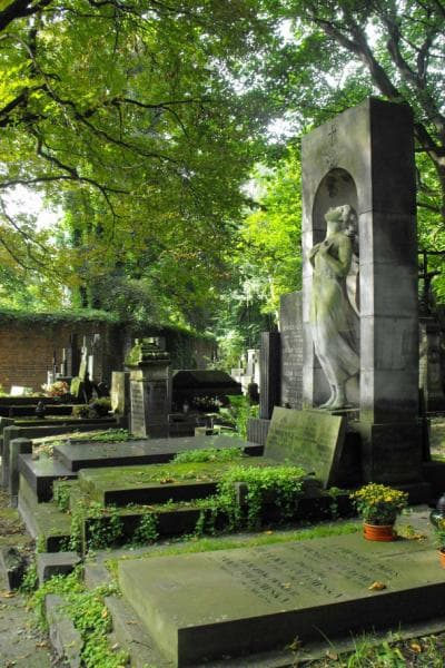Zdjęcie grobu Stanisław Ogórkiewicz (1)