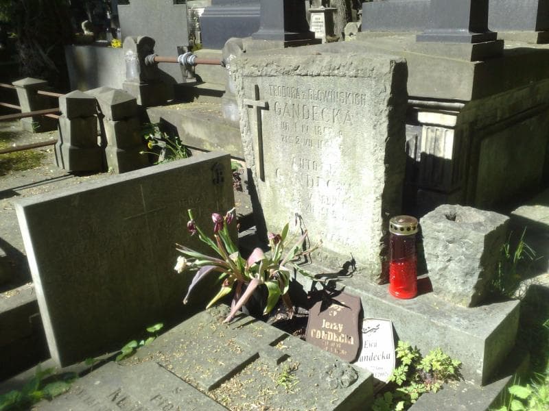 Zdjęcie grobu Piotr Nowiński (1)